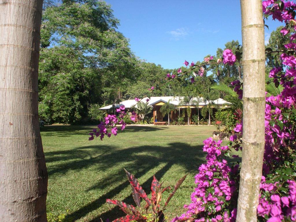 Hibiscus Lodge Bed & Breakfast Wongaling Beach Exteriér fotografie