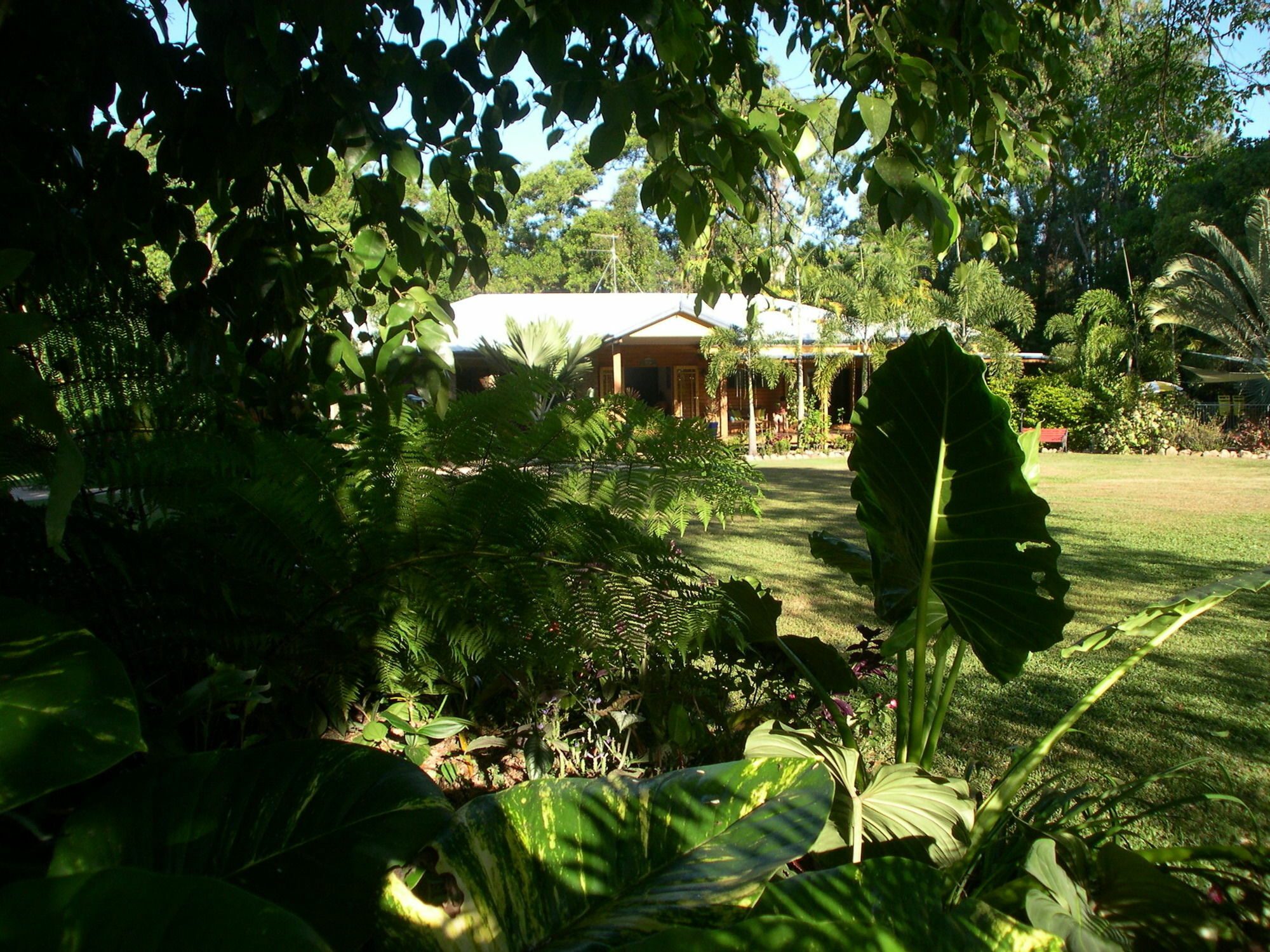 Hibiscus Lodge Bed & Breakfast Wongaling Beach Exteriér fotografie